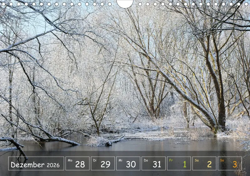 Die Natur im Blick