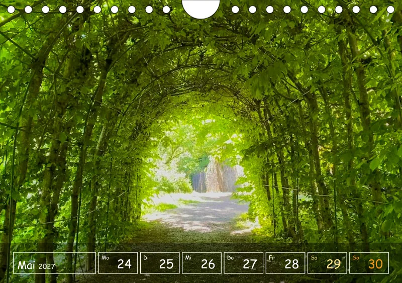 Die Natur im Blick