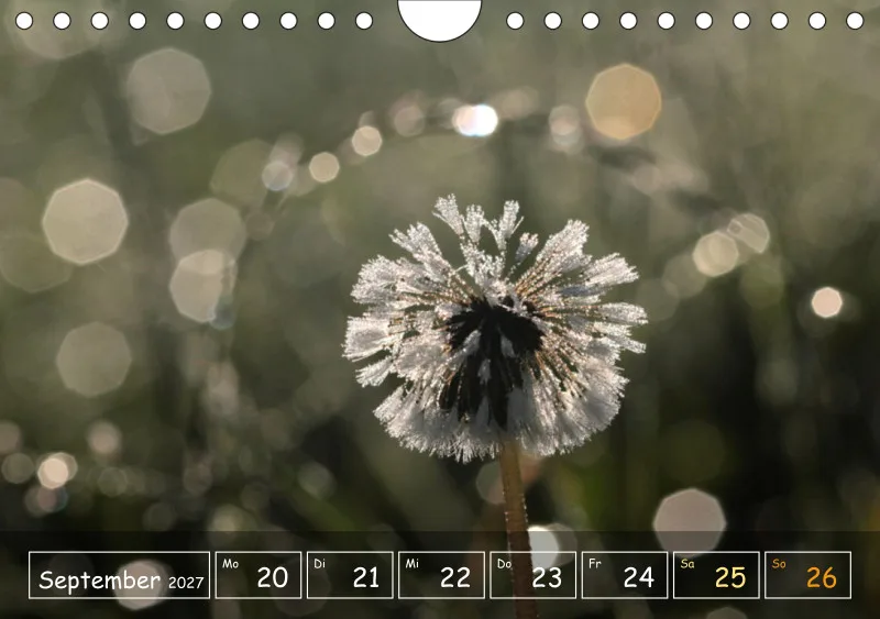 Die Natur im Blick