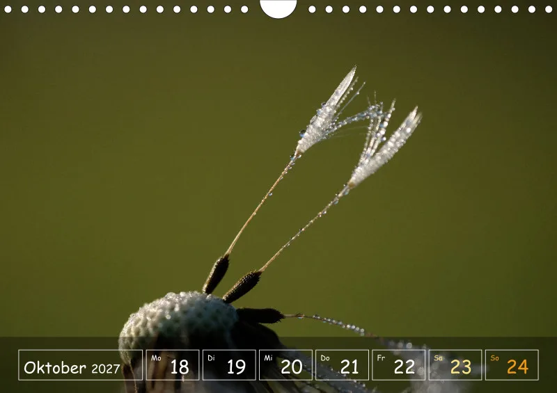Die Natur im Blick