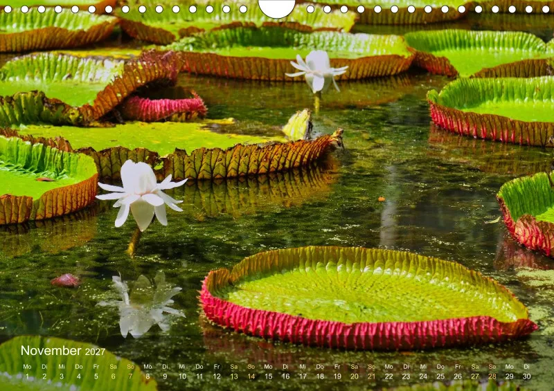 Mauritius - Schönheit im Indischen Ozean
