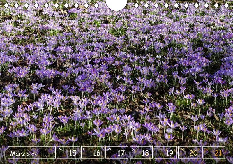 Die Natur im Blick