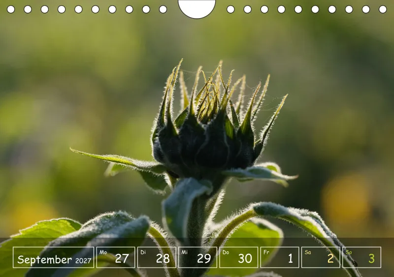 Die Natur im Blick