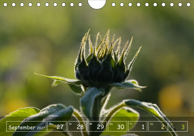 Die Natur im Blick