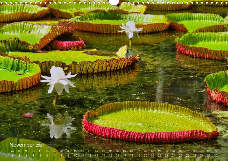 Mauritius - Schönheit im Indischen Ozean