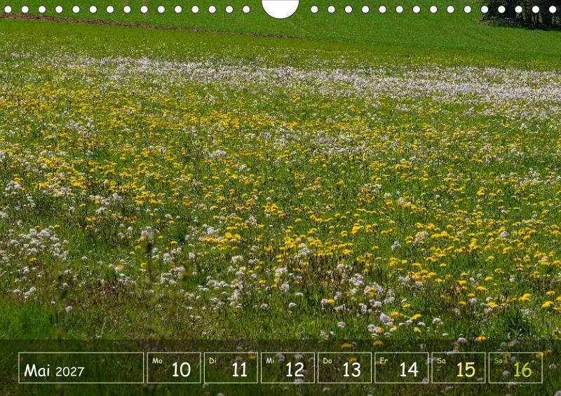 Die Natur im Blick