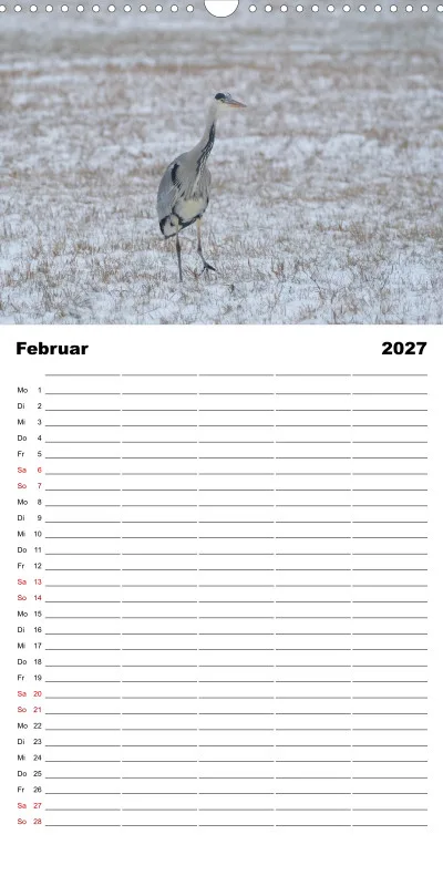 Die Natur im Blick - Familienplaner 2027