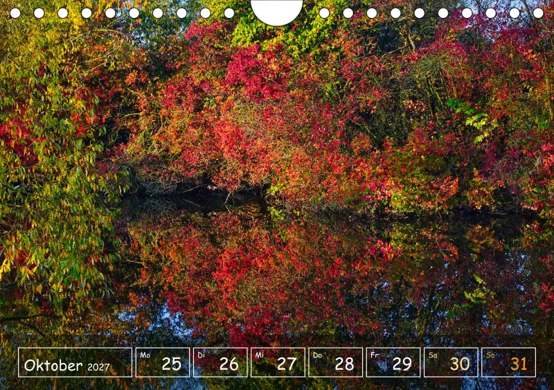 Die Natur im Blick