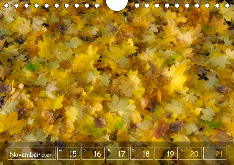 Die Natur im Blick