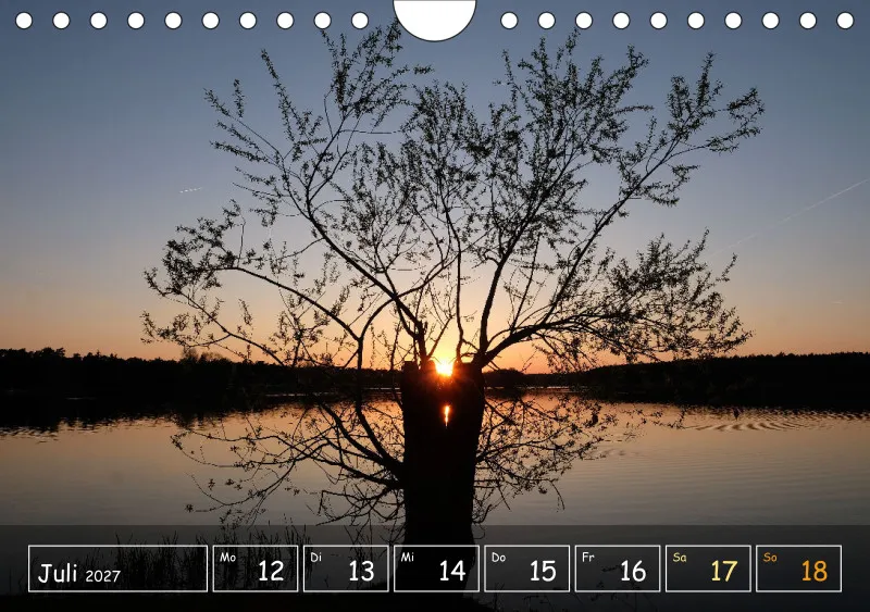 Die Natur im Blick