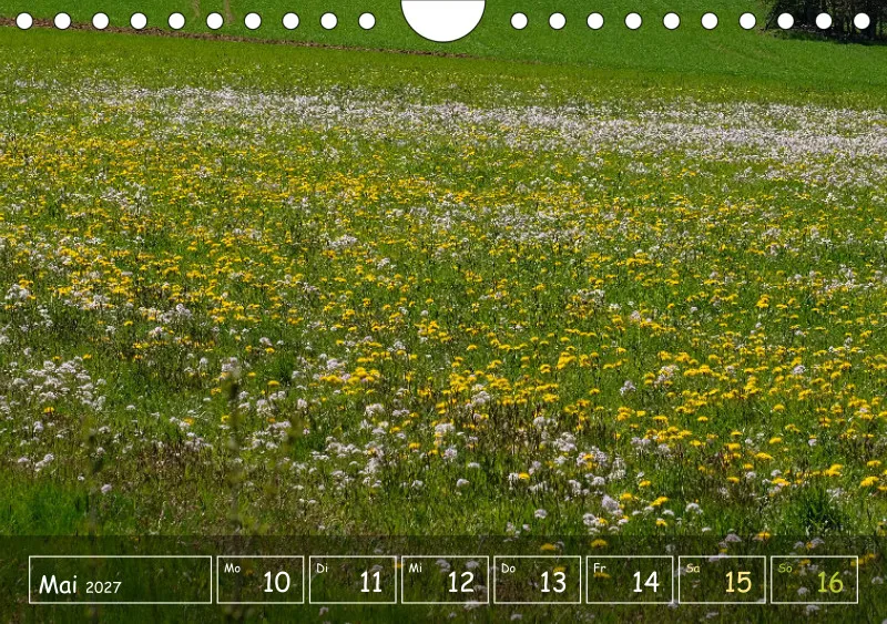 Die Natur im Blick
