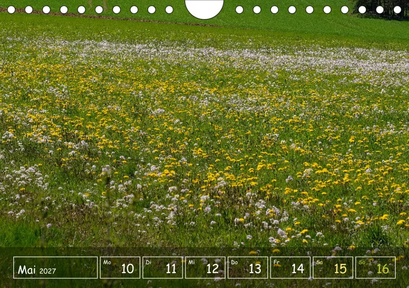 Die Natur im Blick