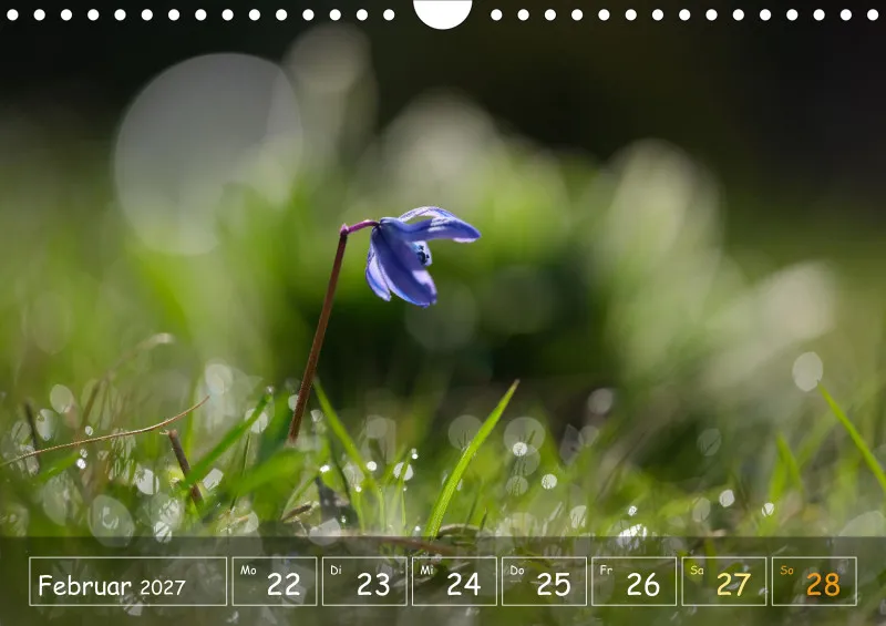 Die Natur im Blick