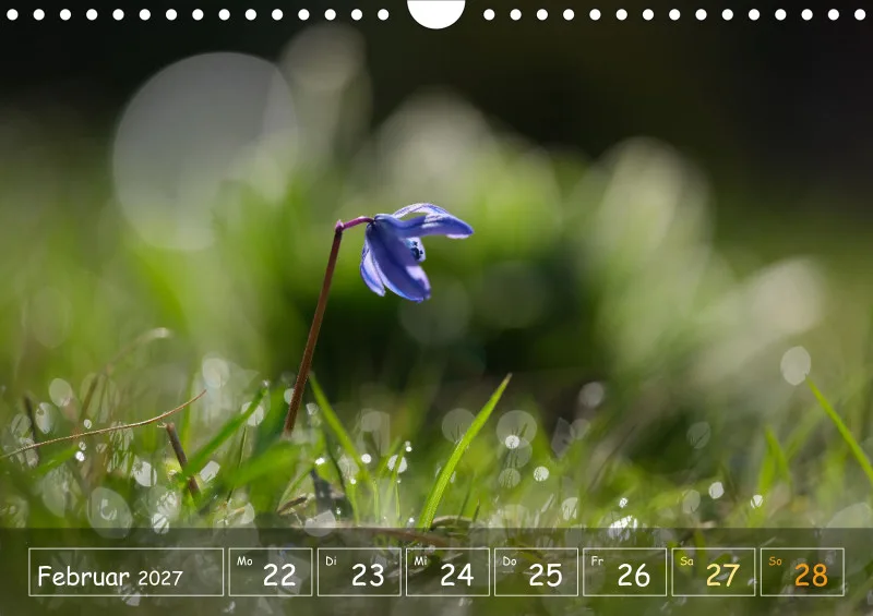 Die Natur im Blick