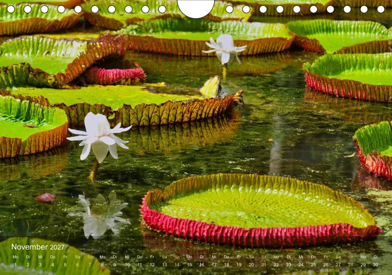 Mauritius - Schönheit im Indischen Ozean