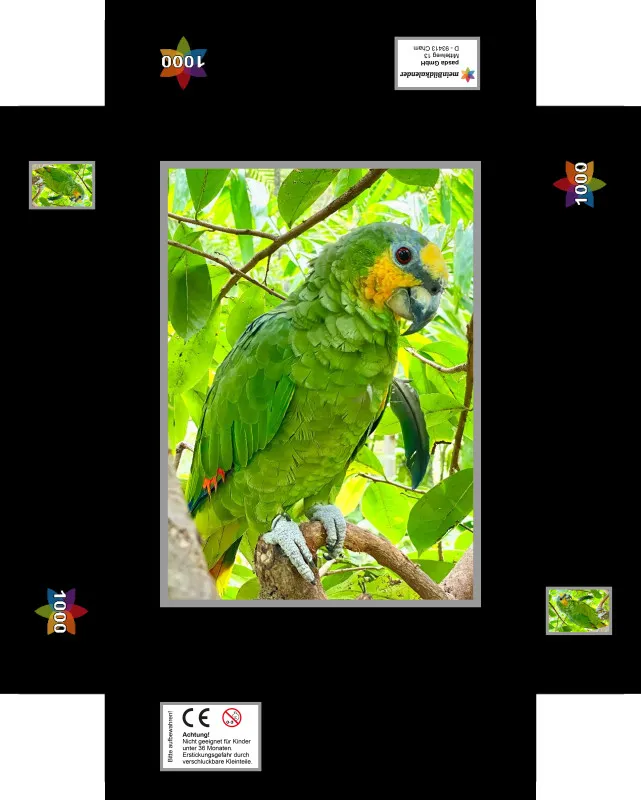 Amazonen-Papagei
