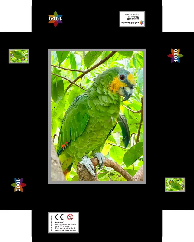 Amazonen-Papagei