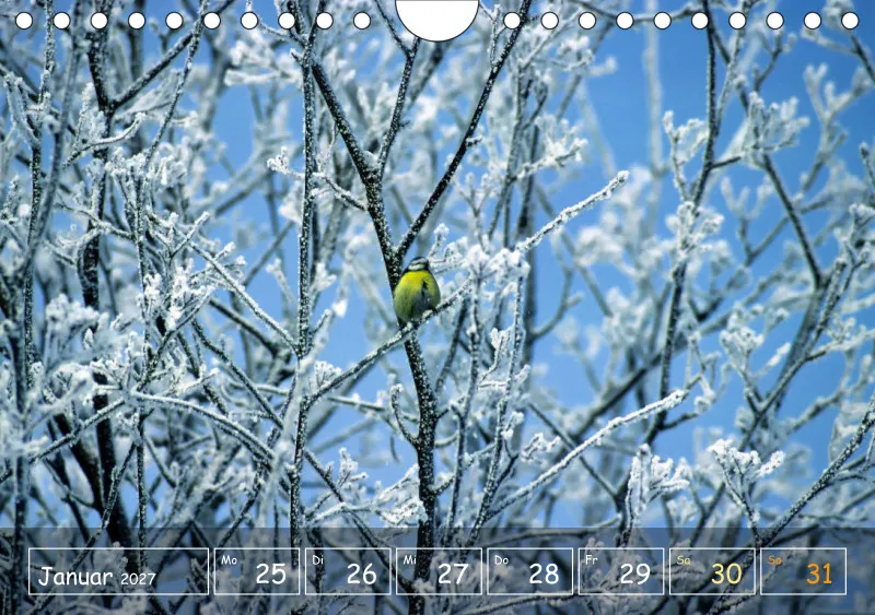 Die Natur im Blick
