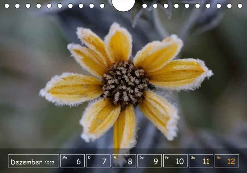 Die Natur im Blick