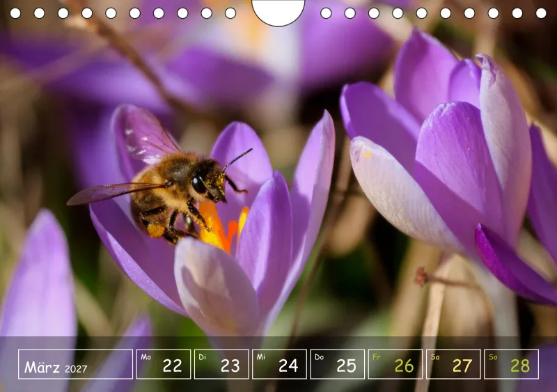 Die Natur im Blick