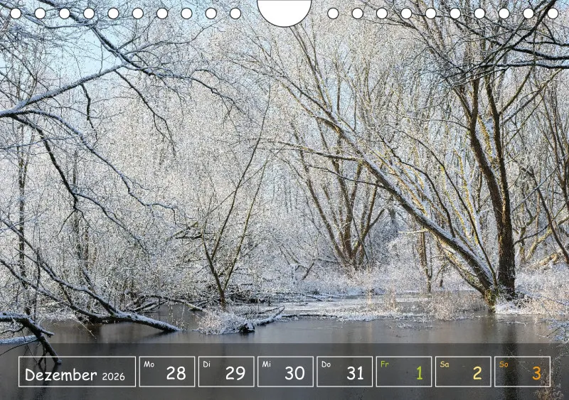 Die Natur im Blick