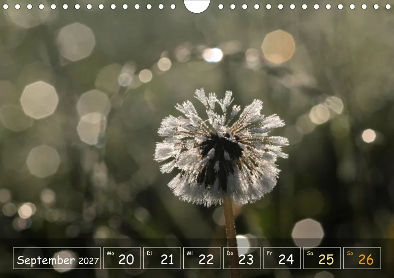 Die Natur im Blick