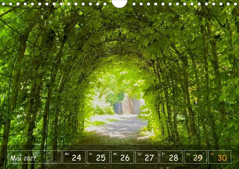 Die Natur im Blick