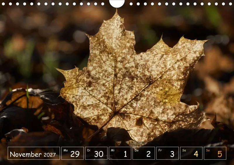 Die Natur im Blick