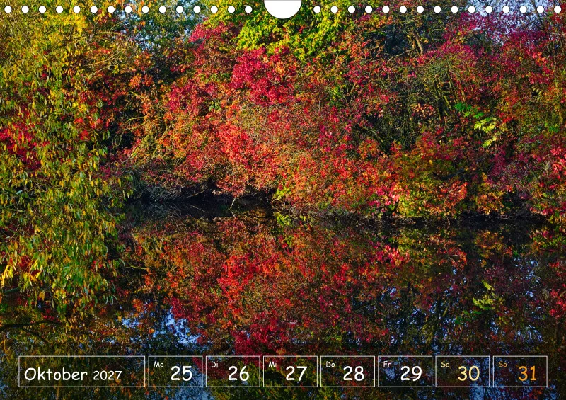 Die Natur im Blick