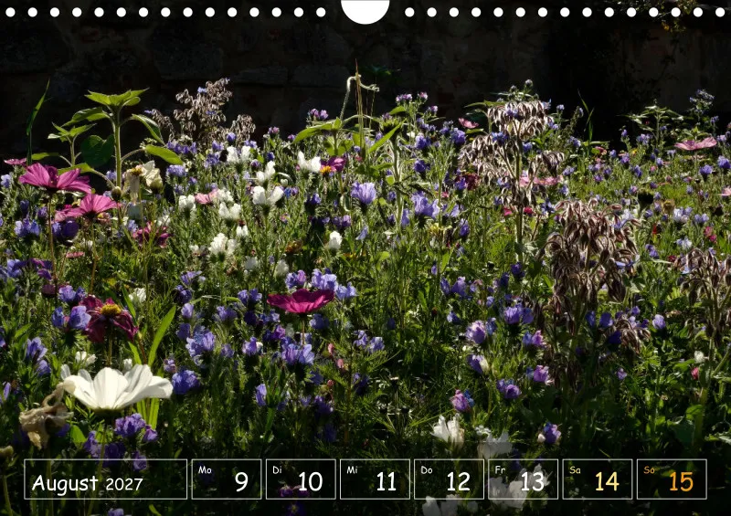 Die Natur im Blick