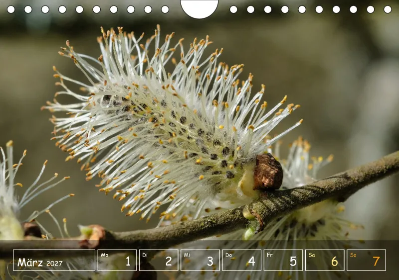 Die Natur im Blick