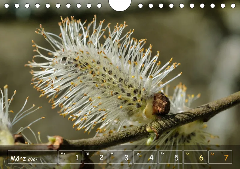 Die Natur im Blick