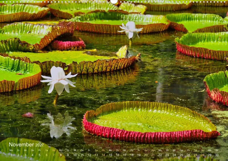 Mauritius - Schönheit im Indischen Ozean