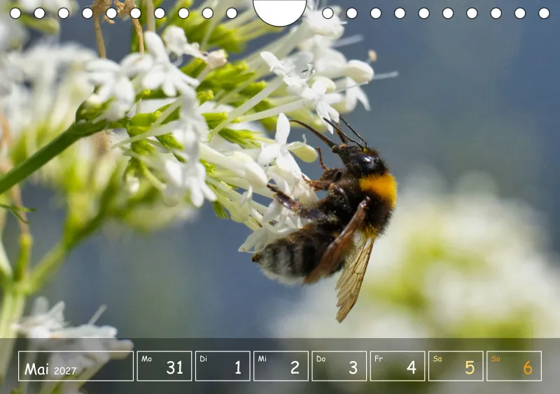 Die Natur im Blick