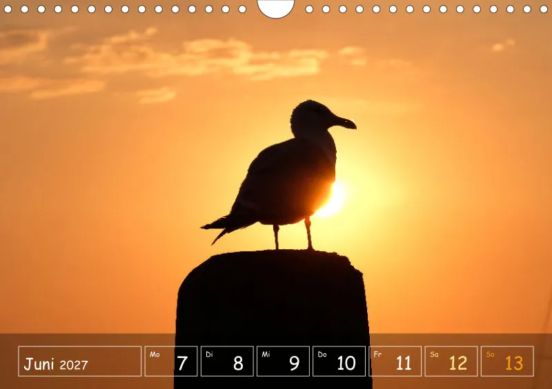 Die Natur im Blick