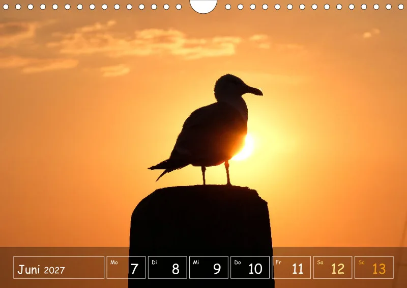 Die Natur im Blick