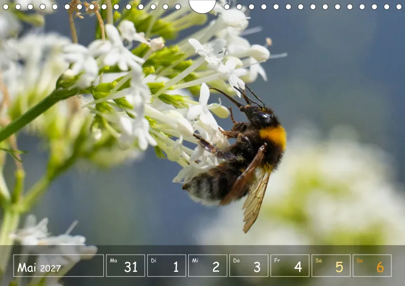Die Natur im Blick