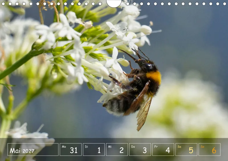 Die Natur im Blick