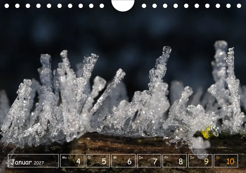 Die Natur im Blick