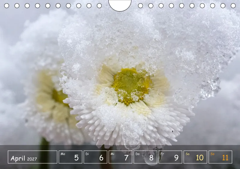 Die Natur im Blick