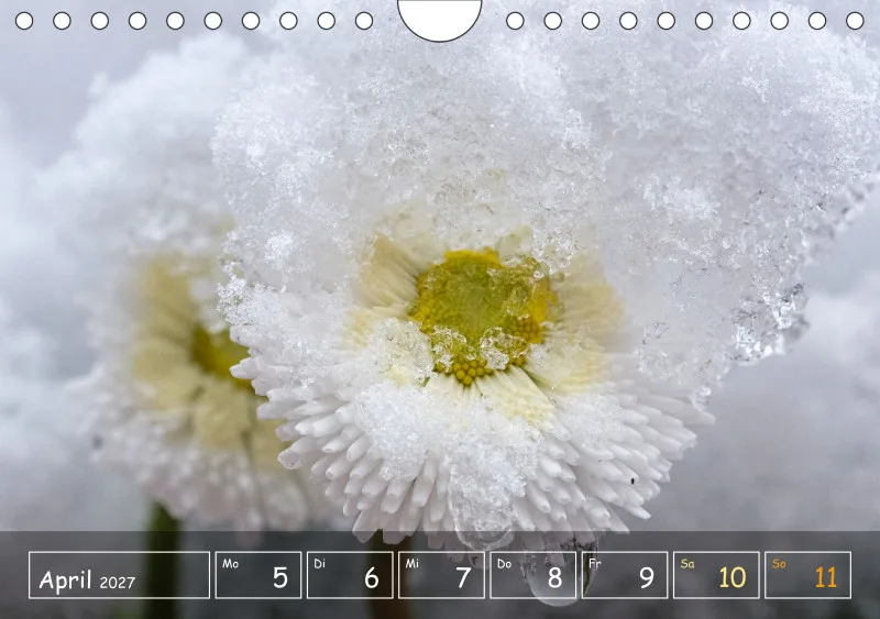 Die Natur im Blick
