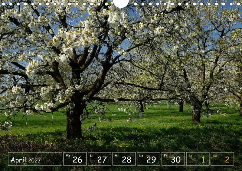 Die Natur im Blick