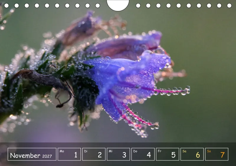Die Natur im Blick