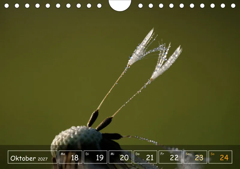 Die Natur im Blick