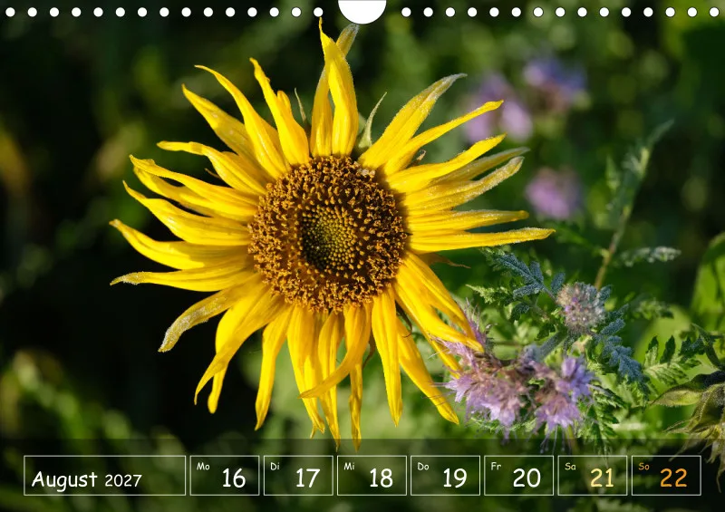 Die Natur im Blick