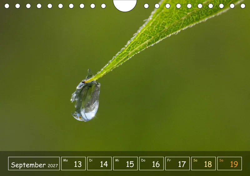 Die Natur im Blick