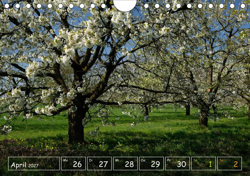 Die Natur im Blick