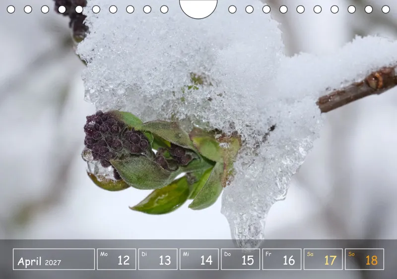Die Natur im Blick