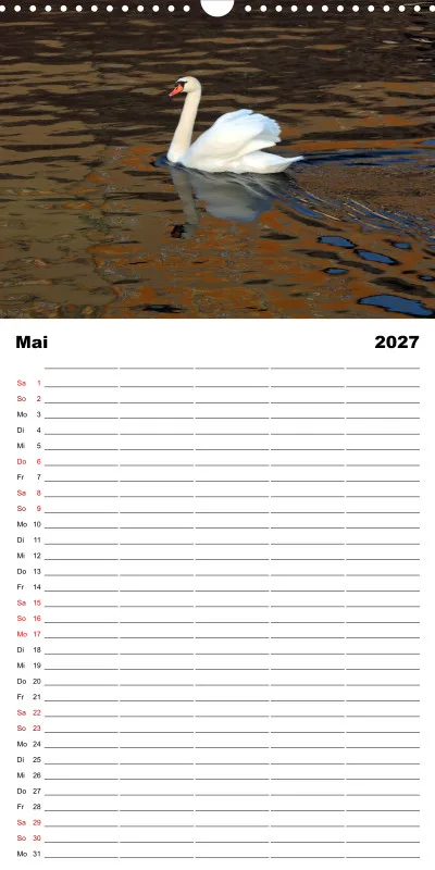 Die Natur im Blick - Familienplaner 2027