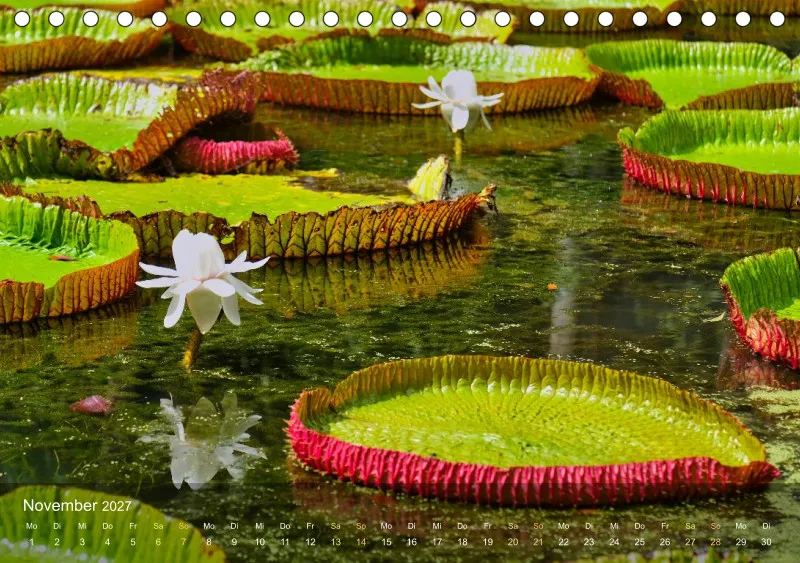 Mauritius - Schönheit im Indischen Ozean
